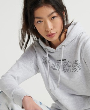 Superdry Japanese Characters Loopback Női Kapucnis Pulóver Fehér | GHQEM2834